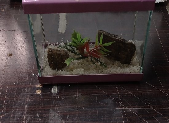 22 cm mini akvaryum beta akvaryumu yapay bitki taş ve kum