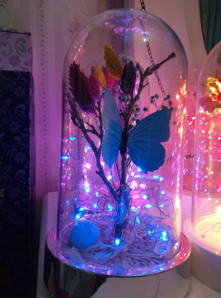 Sonsuzluk güllü ayıcıklı fanuz