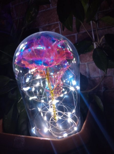 Sonsuzluk güllü ayıcıklı fanuz