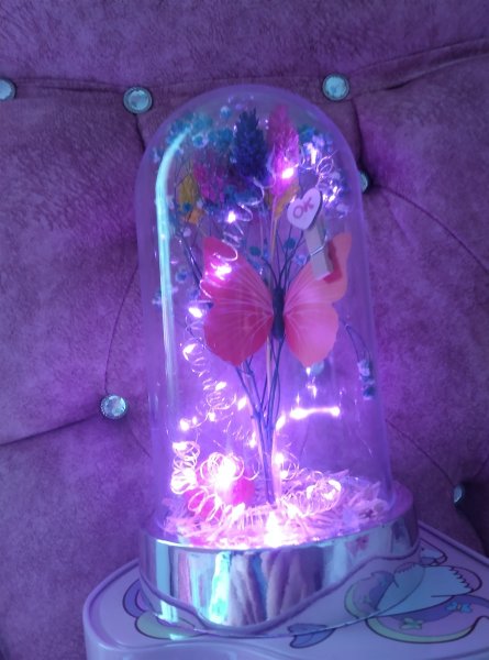 Sonsuzluk güllü ayıcıklı fanuz