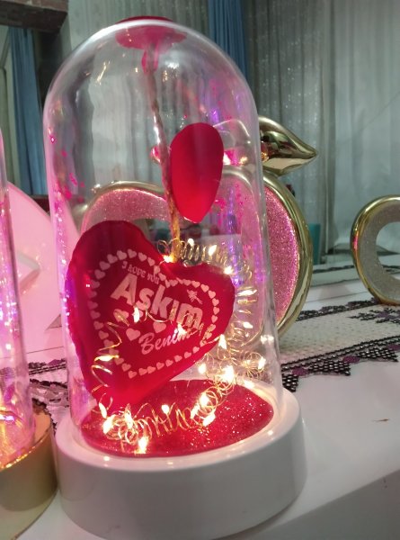 Sonsuzluk güllü ayıcıklı fanuz