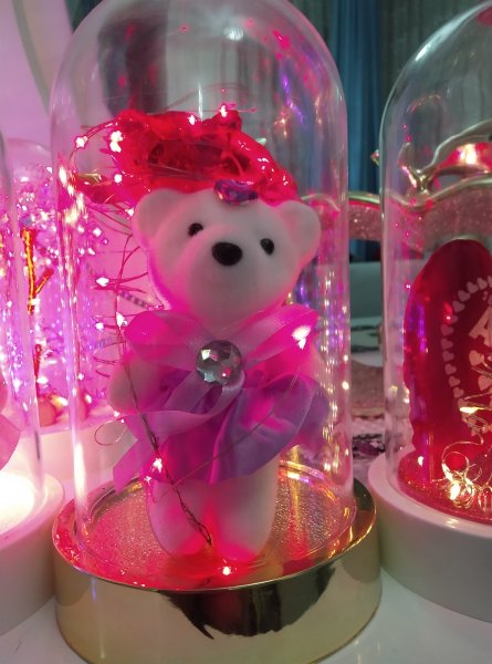 Sonsuzluk güllü ayıcıklı fanuz