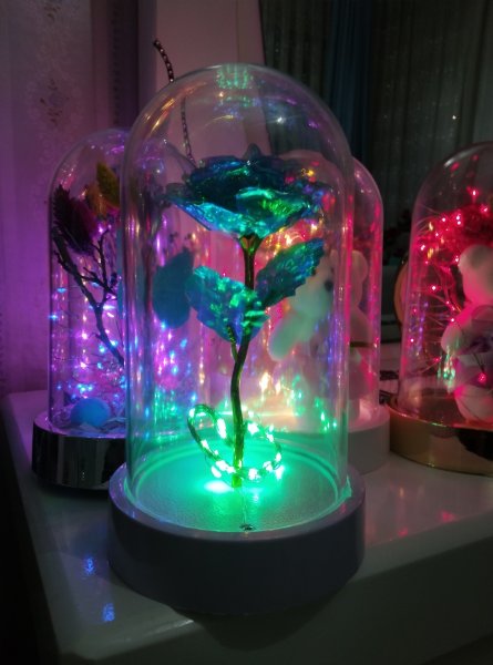 Sonsuzluk güllü ayıcıklı fanuz