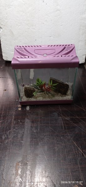 22 cm mini akvaryum beta akvaryumu yapay bitki taş ve kum