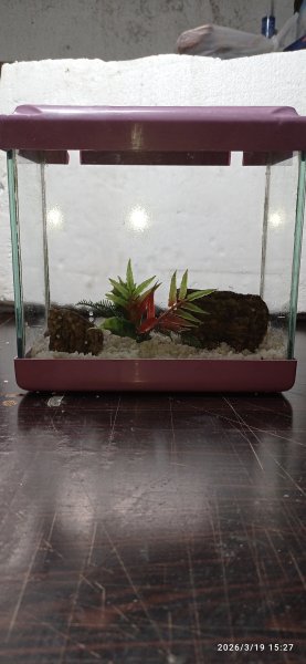 22 cm mini akvaryum beta akvaryumu yapay bitki taş ve kum