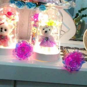 Peri ledli ayıcıklı fanus