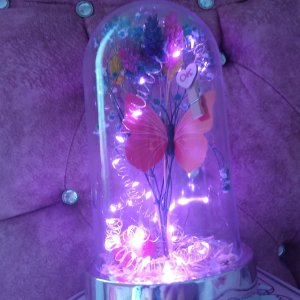 Sonsuzluk güllü ayıcıklı fanuz