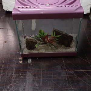 22 cm mini akvaryum beta akvaryumu yapay bitki taş ve kum